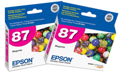 Imagen_EPSON MAG R1900 